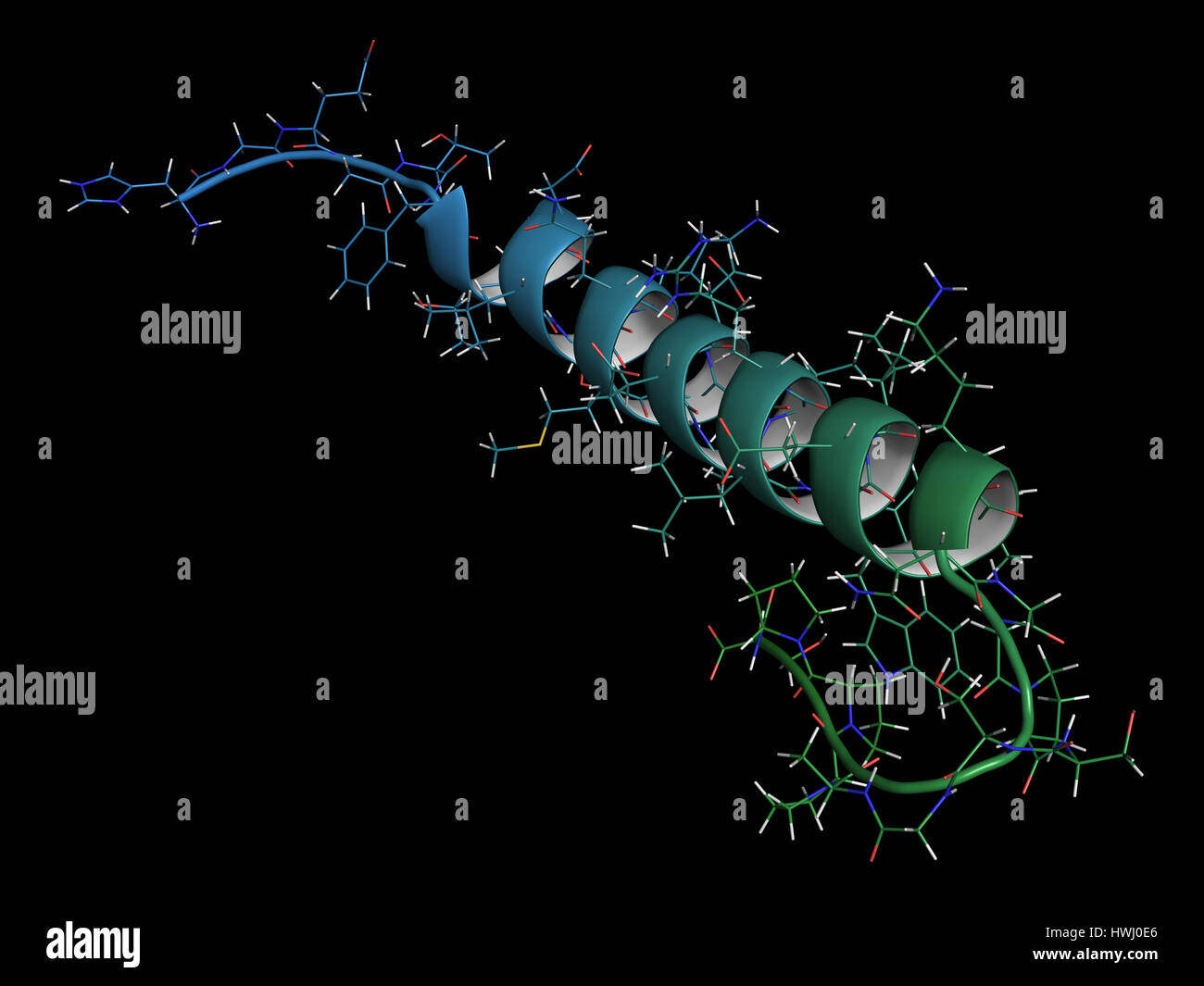 Diabete Exenatide molecola di farmaco. Il rendering 3D. Cartoon + linea di rappresentanza. Foto Stock