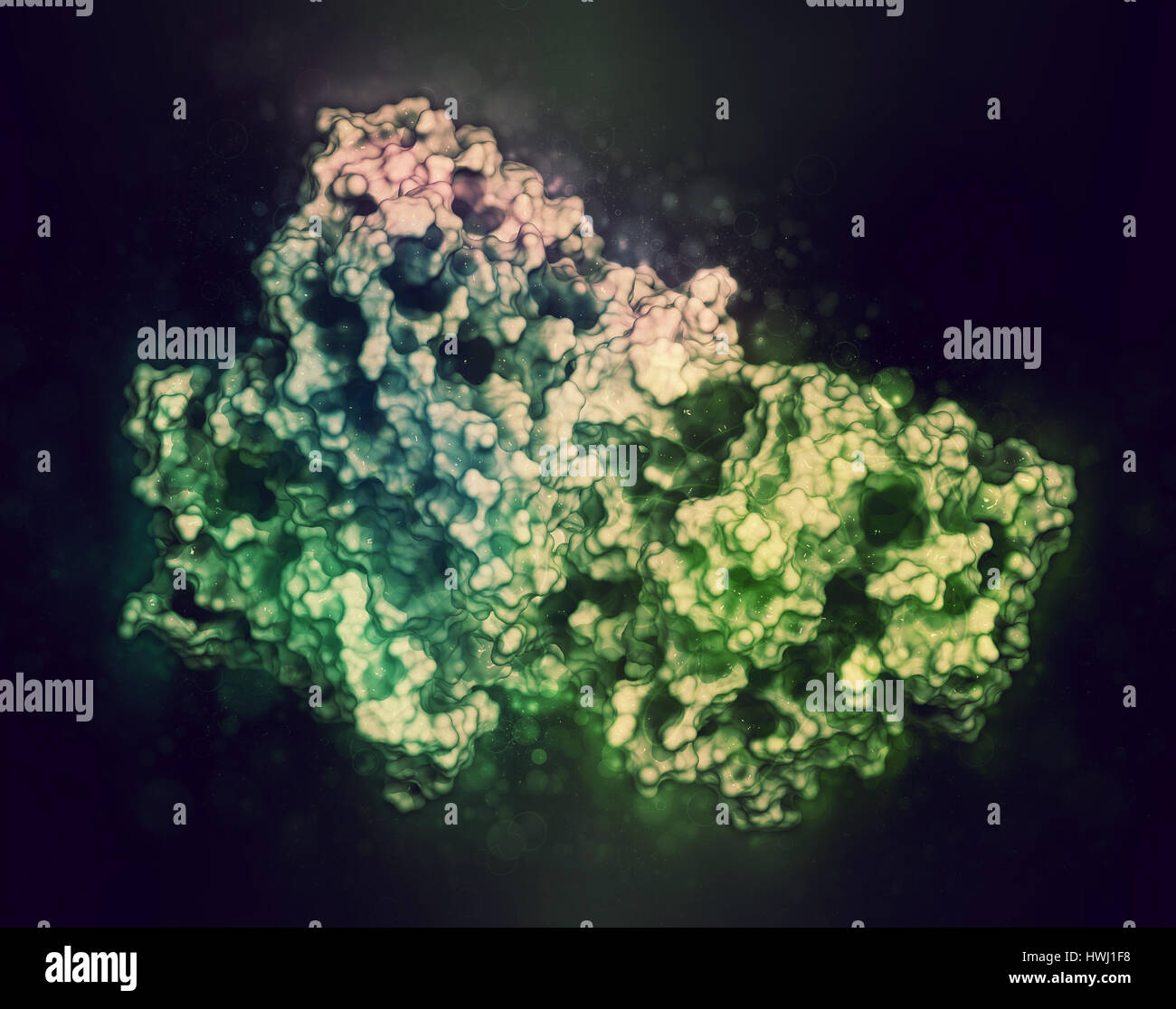 Gamma secretasi complesso proteico. Multi-intramembrane subunità di proteasi che svolge ruolo nella trasformazione delle proteine come proteina precursore amiloide e Foto Stock