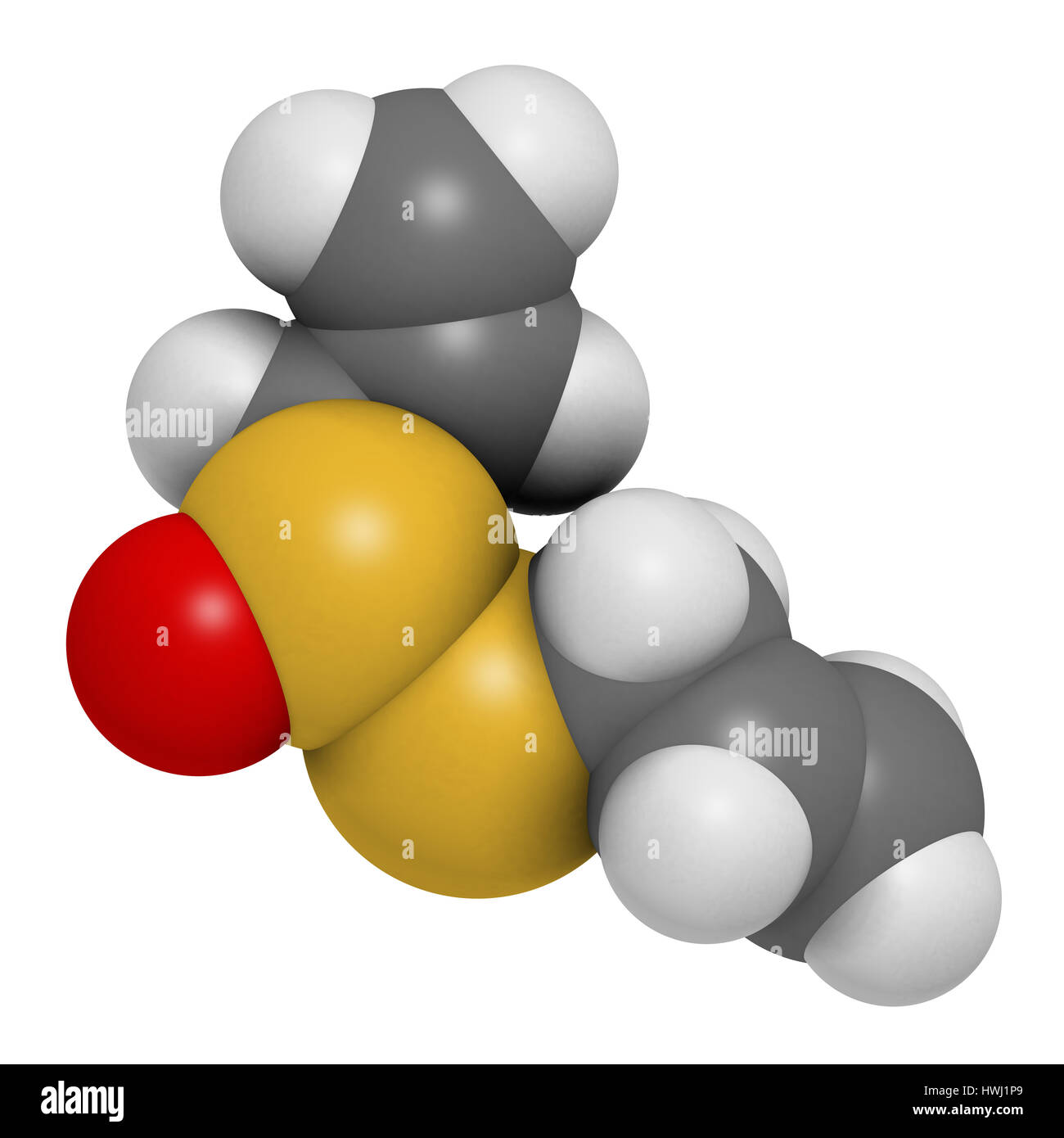 Aglio Allicin molecola. Il rendering 3D. Formata da alliin dall'enzima alliinase. Ritiene di avere un certo numero di effetti positivi sulla salute. Gli atomi sono ri Foto Stock