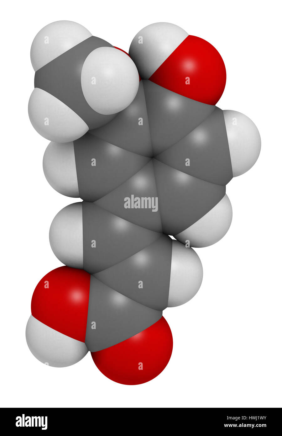 Acido ferulico erbe molecola antiossidante. Il rendering 3D. Gli atomi sono rappresentati come sfere con i tradizionali colori: idrogeno (bianco), carbonio (gr Foto Stock