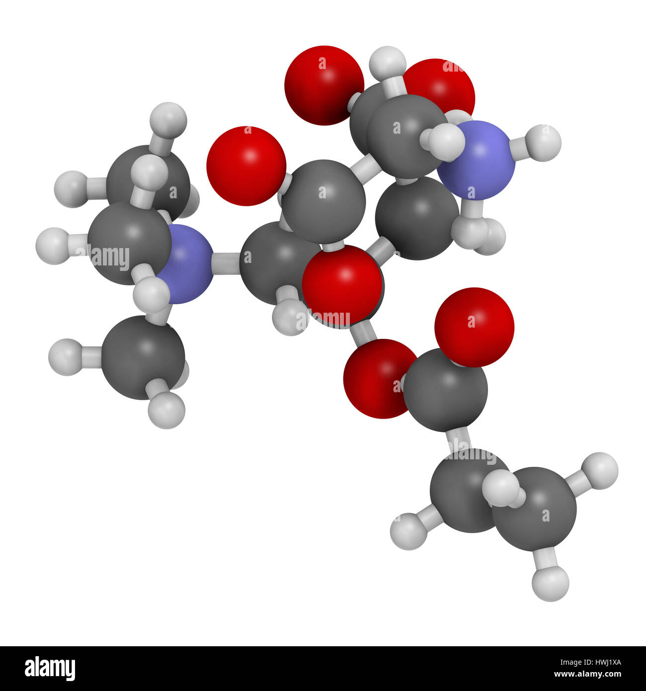 GPLC (glicina propionil-L-carnitina) supplemento nutrizionale molecola. Il rendering 3D. Gli atomi sono rappresentati come sfere convenzionale con codifica a colori Foto Stock