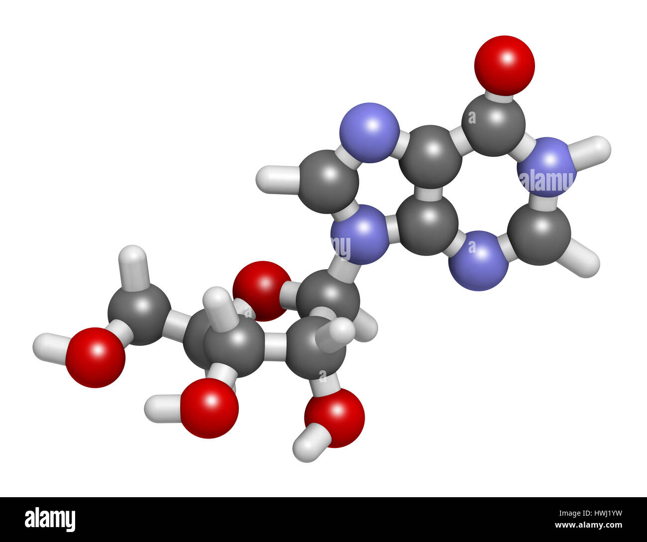 Nucleoside inosina molecola. Il rendering 3D. Trovato nel tRNA. Utilizzato come fitness supplemento nutrizionale. Gli atomi sono rappresentati come sfere con convenzionali Foto Stock