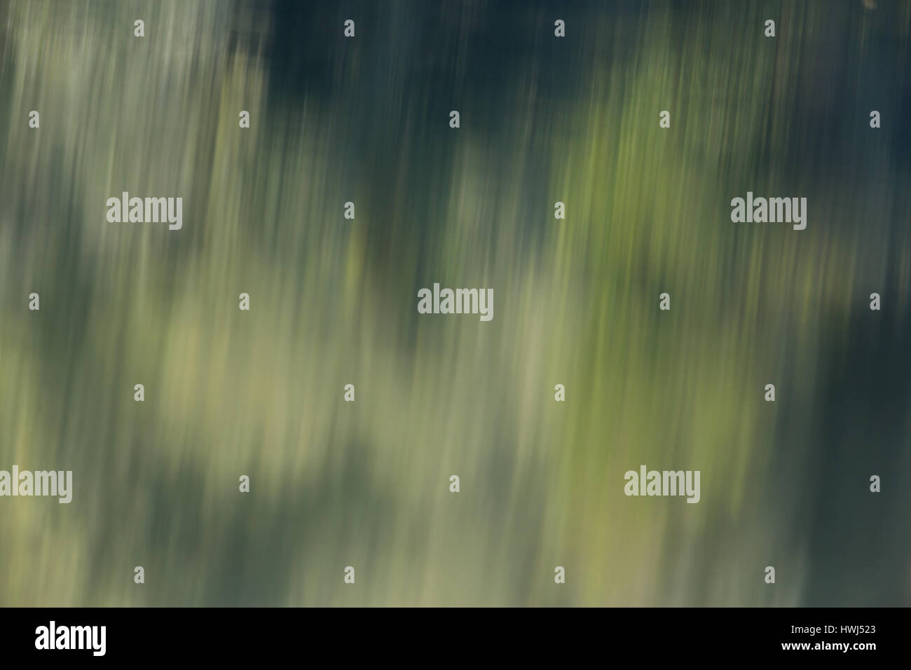 La riflessione di alberi naturali con foglie verdi in acqua Foto Stock