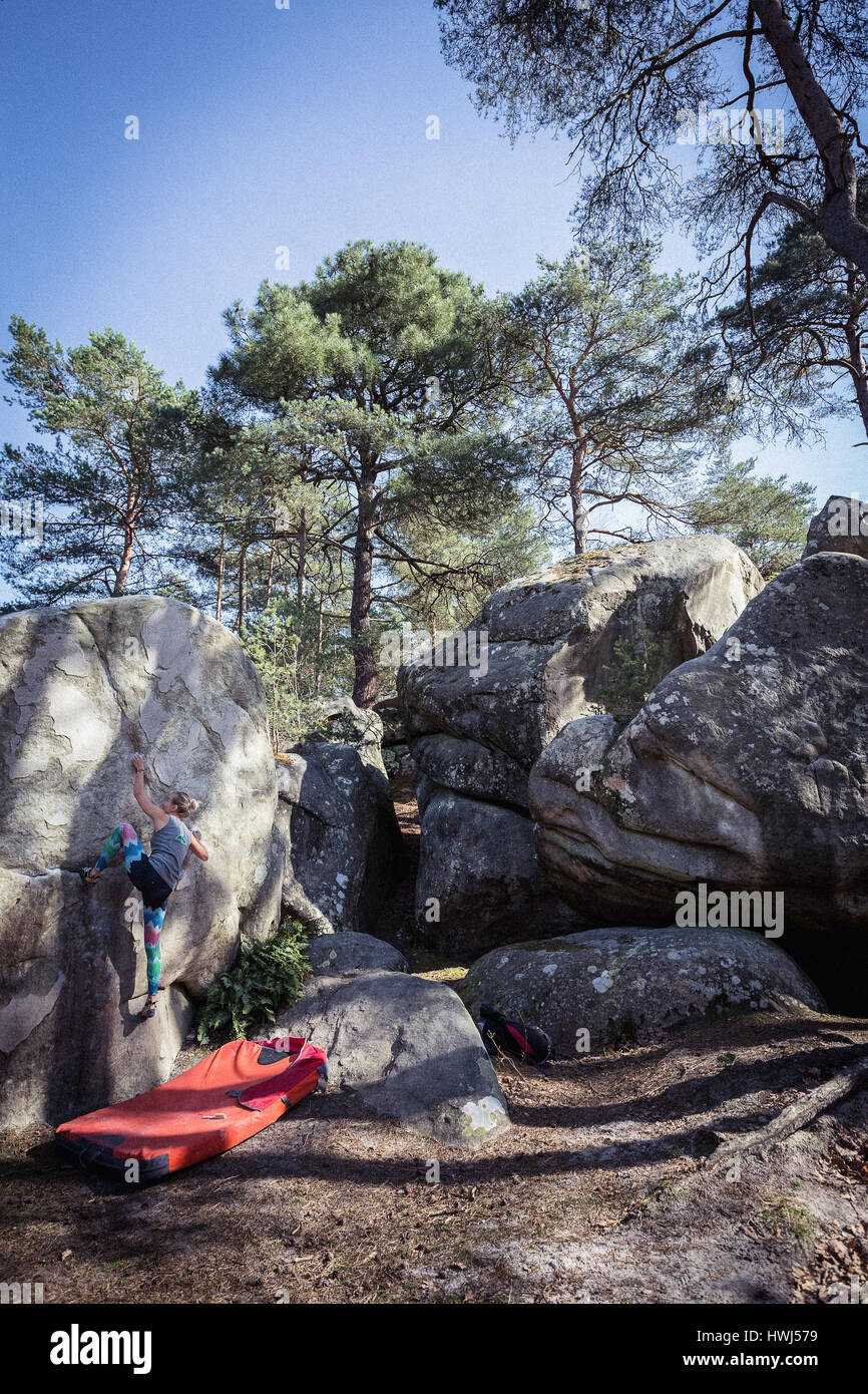 Alpinista professionista Zofia Reych bouldering nella foresta di Fontainebleau, Francia, uno dei più popolari arrampicata destinazioni nel mondo. Foto Stock