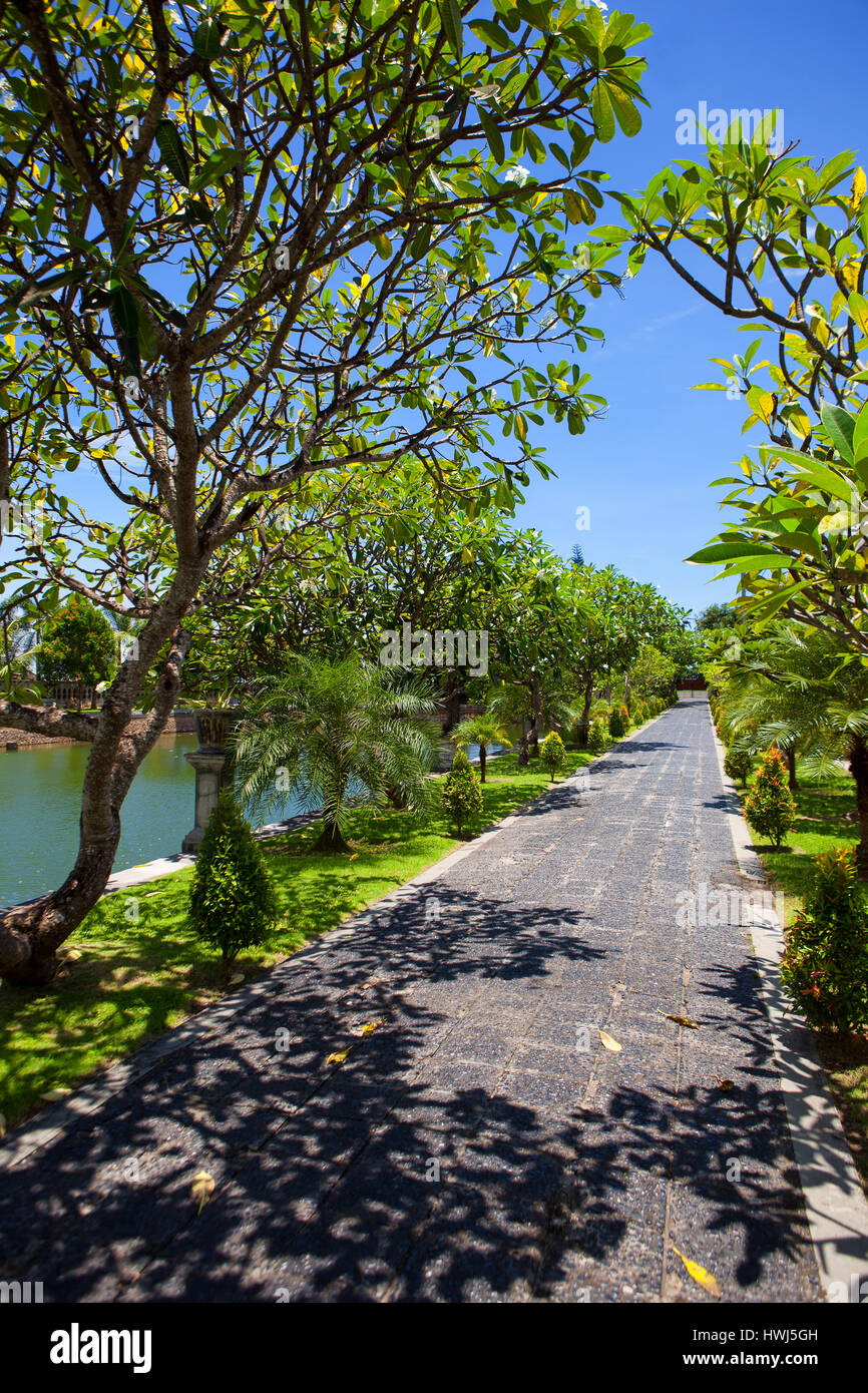 Un percorso di pietra in un parco esotico nei tropici con alberi di frangipani e un laghetto, Tirtagangga Palazzo acqua Taman Ujung Bal Foto Stock