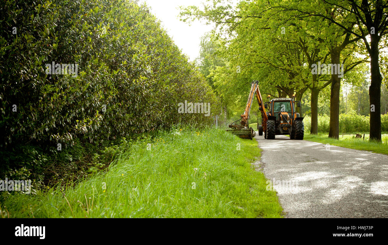 La falciatura di erba spallamento lungo la strada in uno spazio pubblico con grande arancione falciatrice trattore Foto Stock