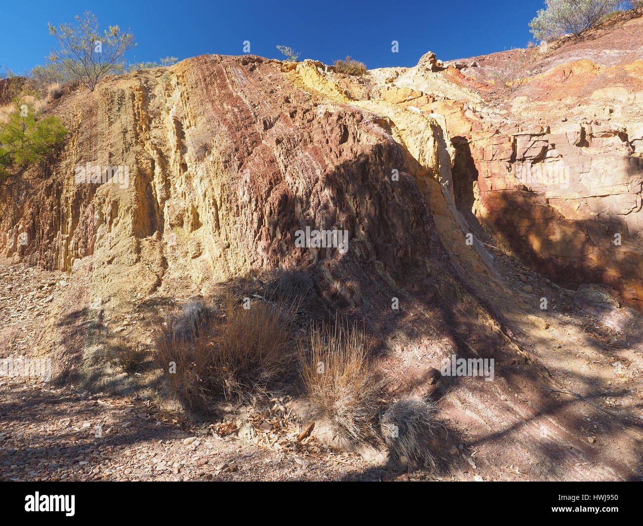 Ocra parete rivestita e di albero in dry creek presso il McDonnell Ranges, Alice Springs, Australia, Luglio 2015 Foto Stock