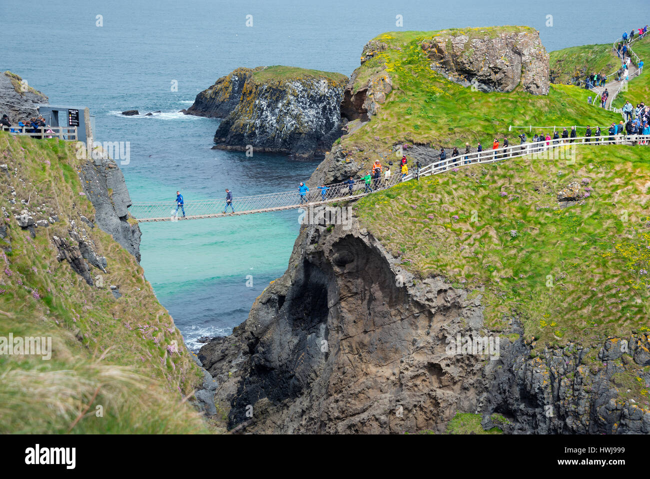 Ponte sospeso, Carrick-a-Rede ponte di corde, Isola di Carrick-a-Rede,  County Antrim, Irlanda del Nord e Gran Bretagna Foto stock - Alamy