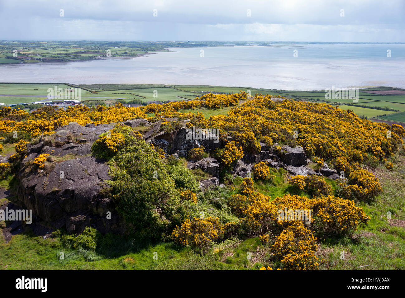 Vista da Scrabo Tower a Strangford Lough, County Down, Irlanda del Nord e Gran Bretagna Foto Stock