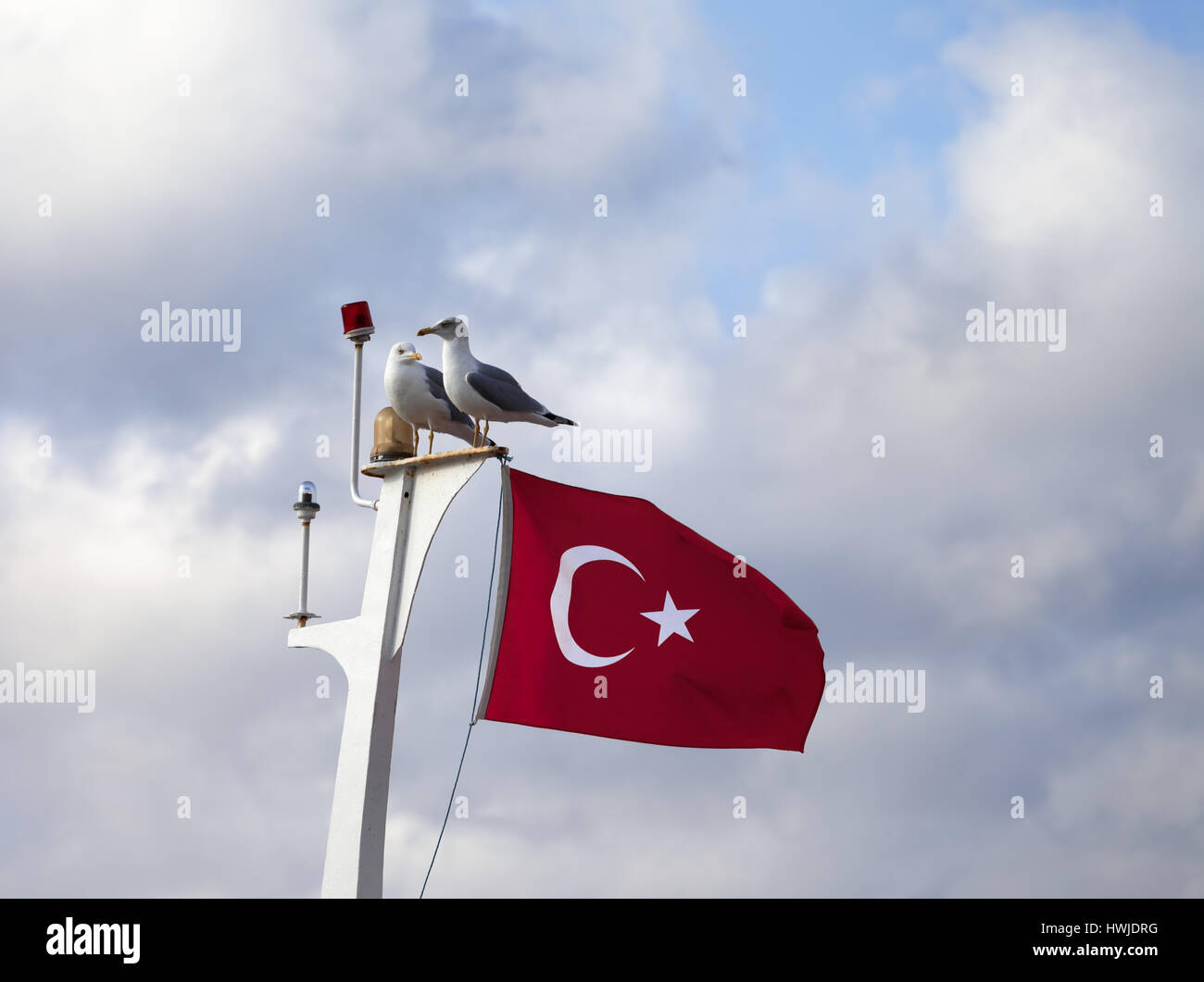 Due seagull e bandiera turca sul montante in barca a sun giorno nuvoloso Foto Stock