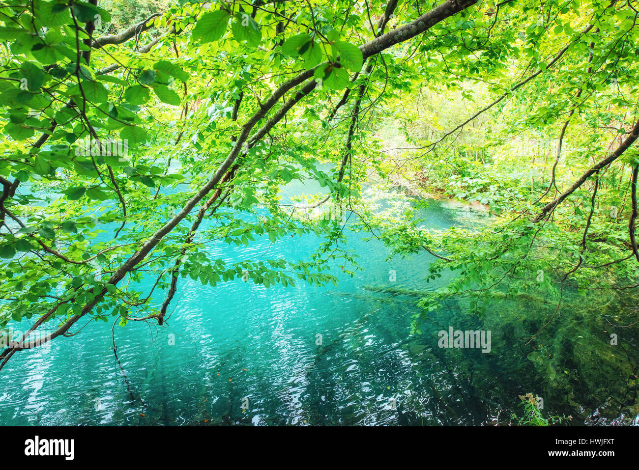 Una foto dei pesci che nuotano in un lago, preso nel parco nazionale dei Laghi di Plitvice in Croazia Foto Stock