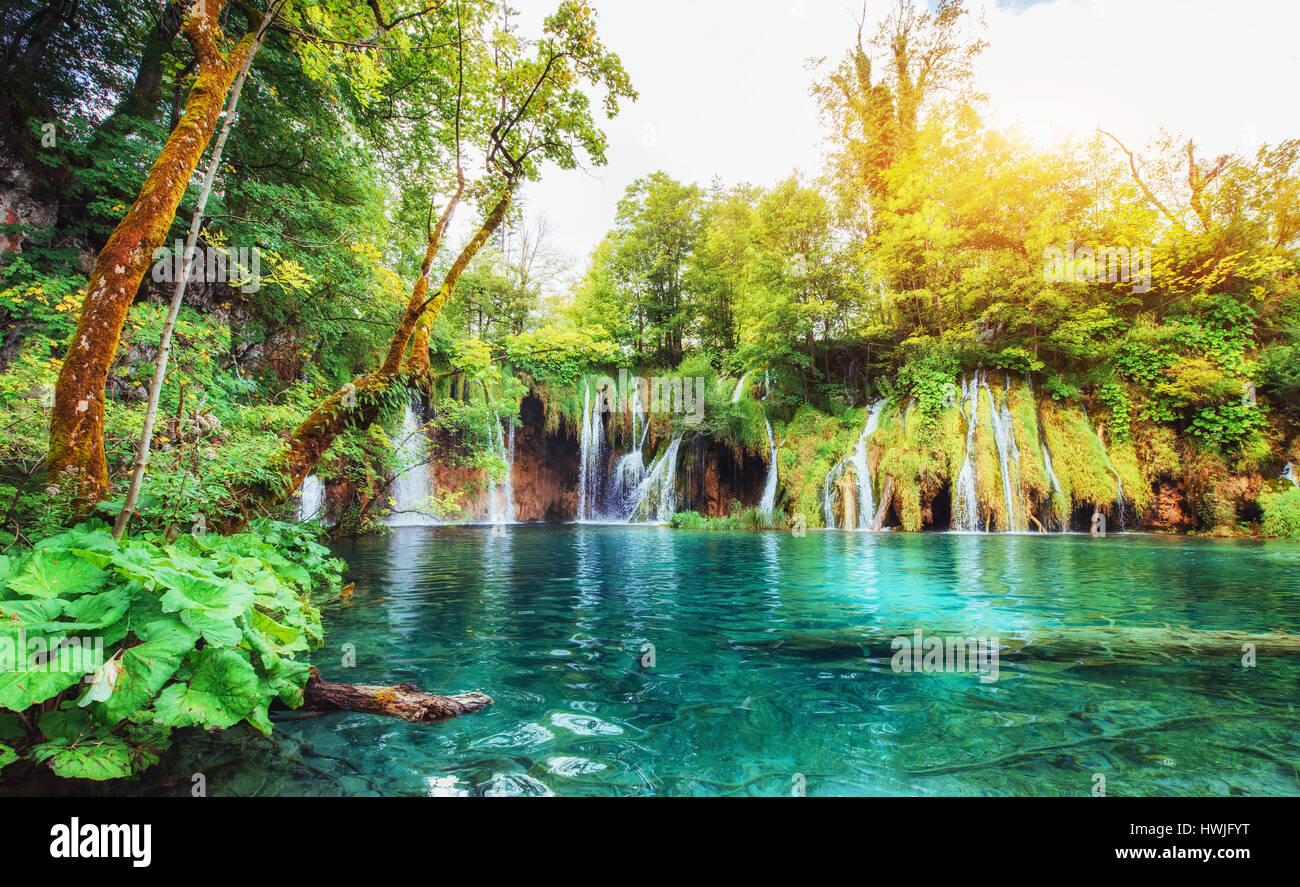 Cascate del parco nazionale di cadere nel lago color turchese. Laghi di Plitvice in Croazia Foto Stock