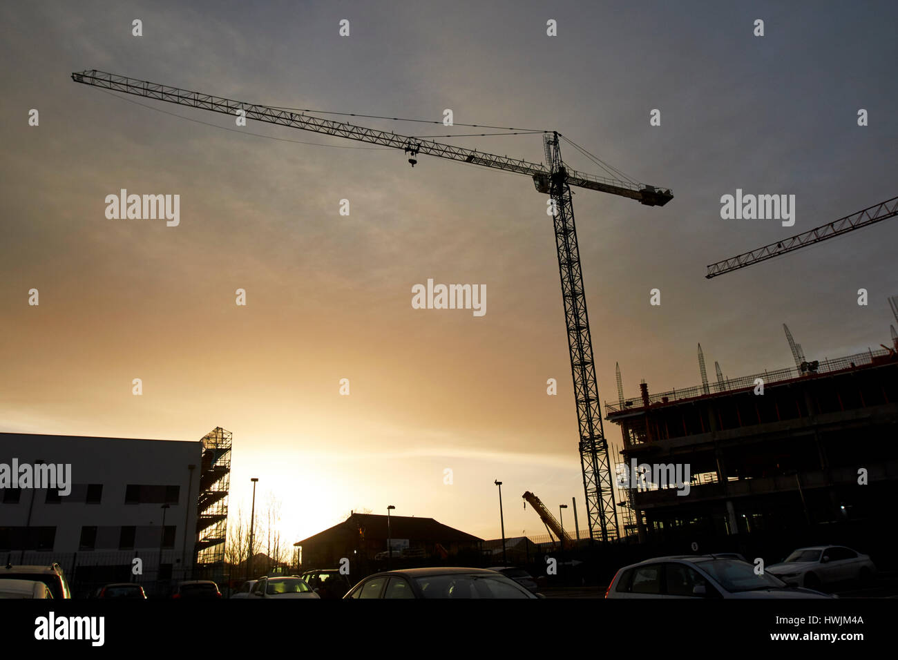 Gru da cantiere in early morning light Belfast Irlanda del Nord Foto Stock