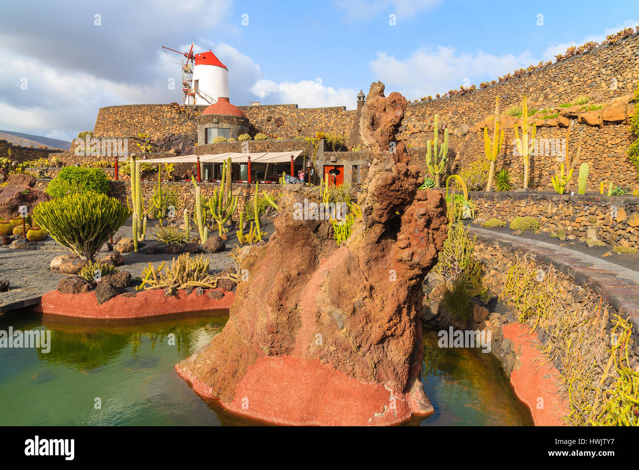 Cacti tropicali giardini a Guatiza villaggio sull'isola di Lanzarote, Spagna Foto Stock