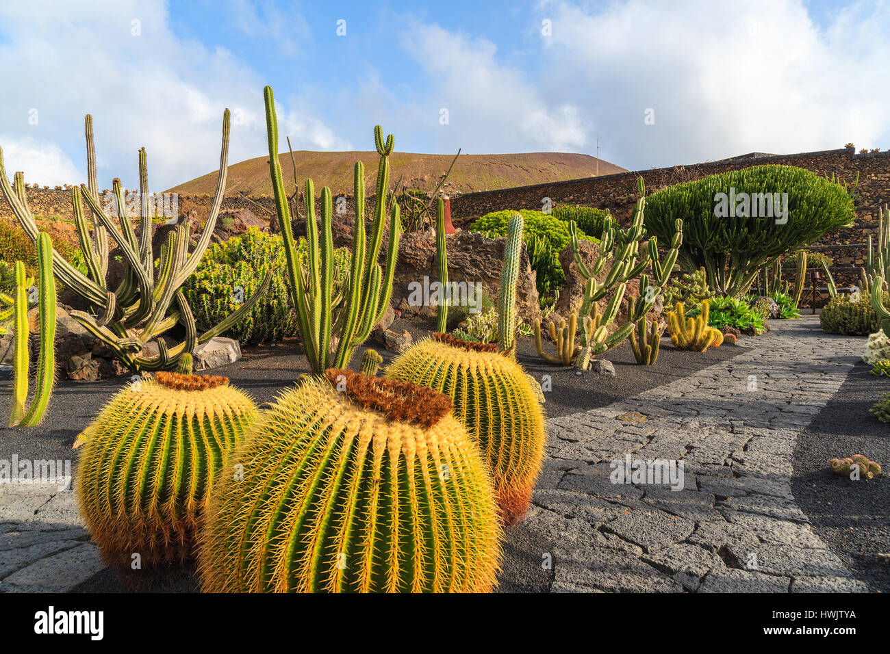 Percorso in Guatiza tropicali giardini di cactus sulla isola di Lanzarote, Spagna Foto Stock