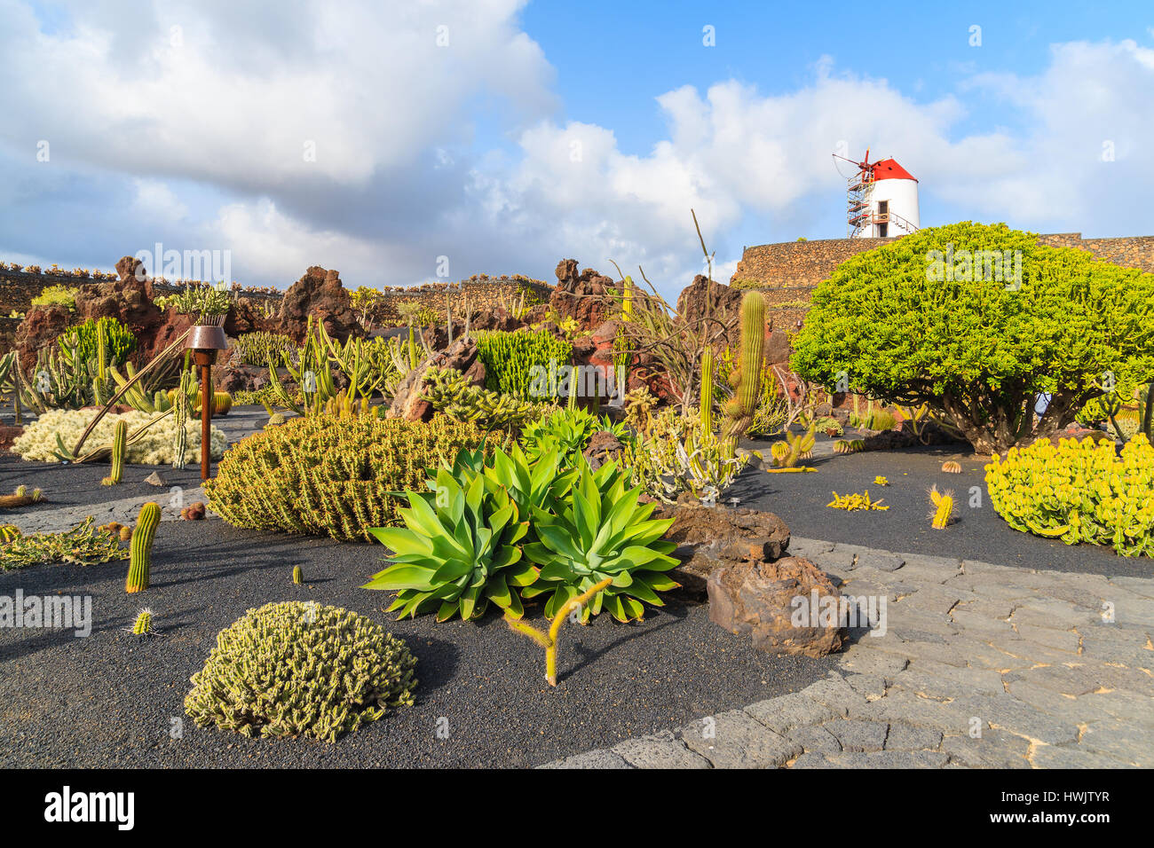 Cacti tropicali giardini a Guatiza villaggio sull'isola di Lanzarote, Spagna Foto Stock