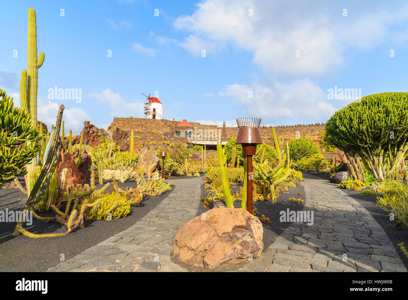 Cacti tropicali giardini a Guatiza villaggio sull'isola di Lanzarote, Spagna Foto Stock