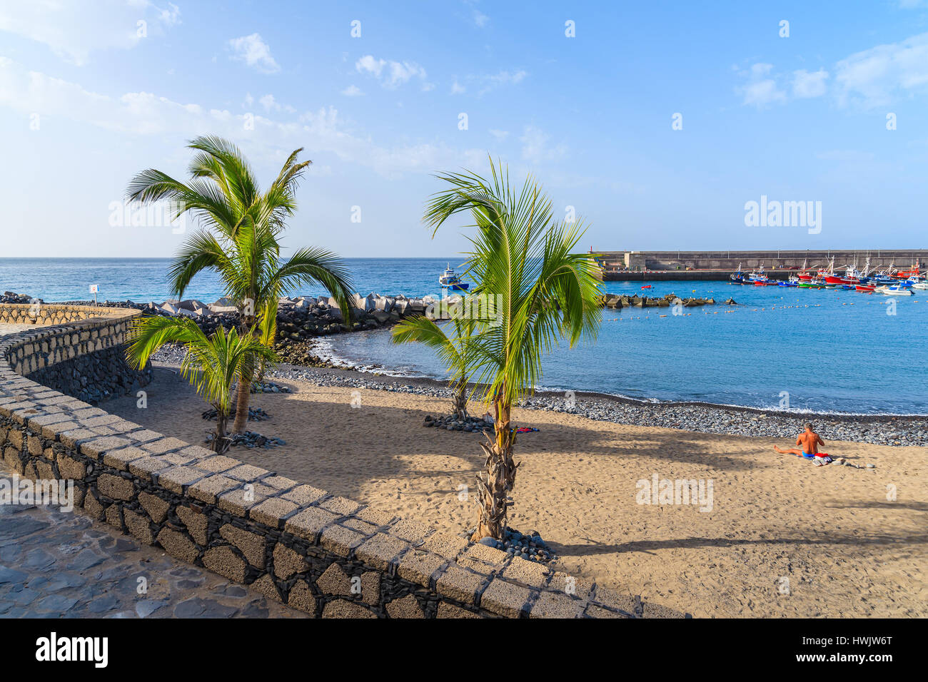 Palme sulla sabbia nera vulcanica nella spiaggia di San Juan, Porto isola di Tenerife, Spagna Foto Stock