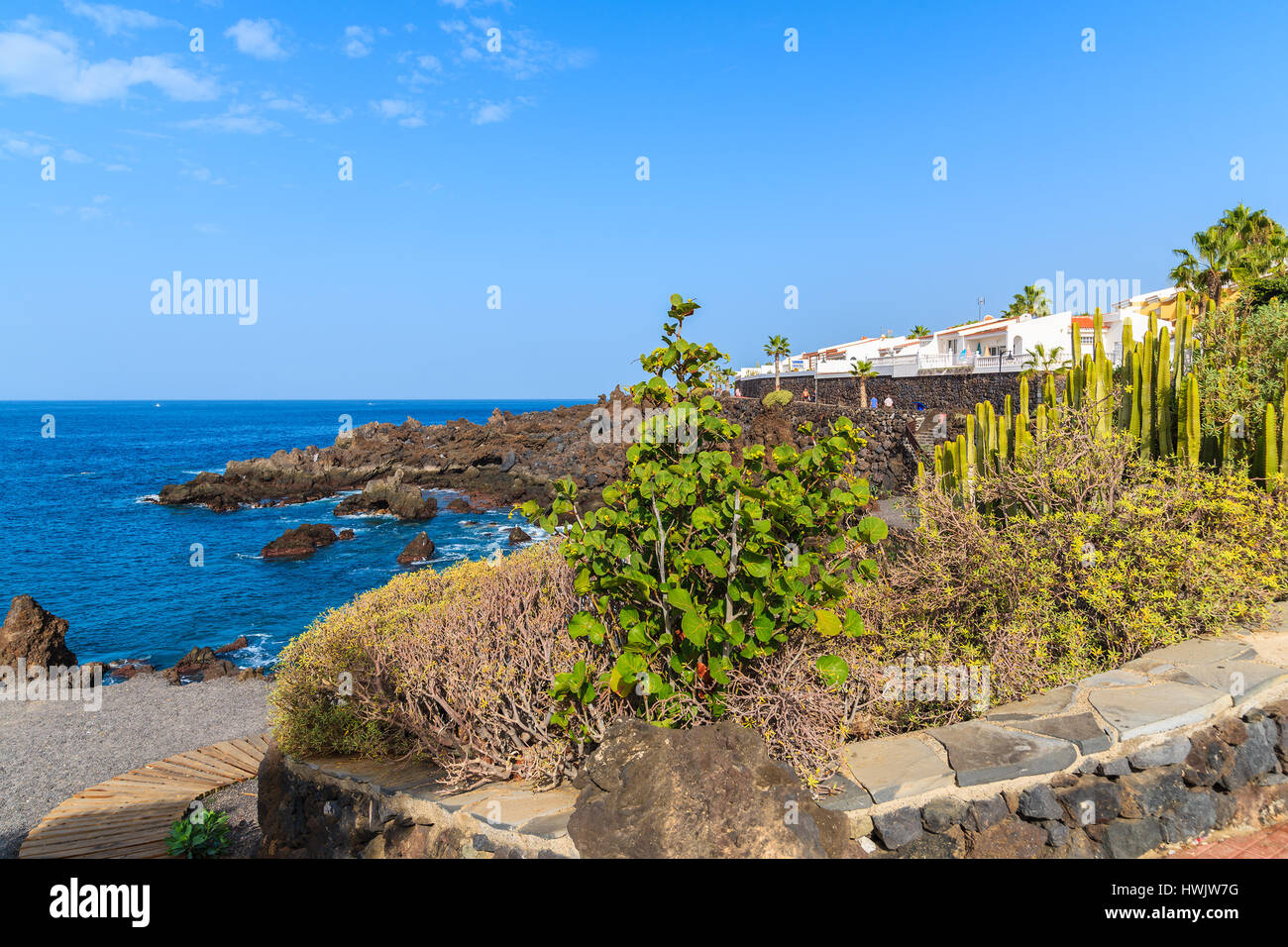 Piante tropicali sulla passeggiata costiera lungo l'oceano nella città di San Juan,, isola di Tenerife, Spagna Foto Stock