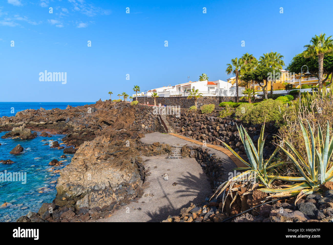 Piante tropicali sulla passeggiata costiera lungo l'oceano nella città di San Juan,, isola di Tenerife, Spagna Foto Stock