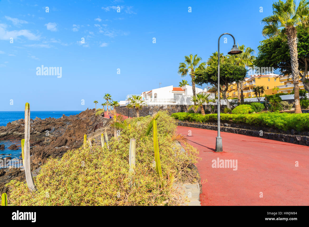 Piante tropicali sulla passeggiata costiera lungo l'oceano nella città di San Juan,, isola di Tenerife, Spagna Foto Stock