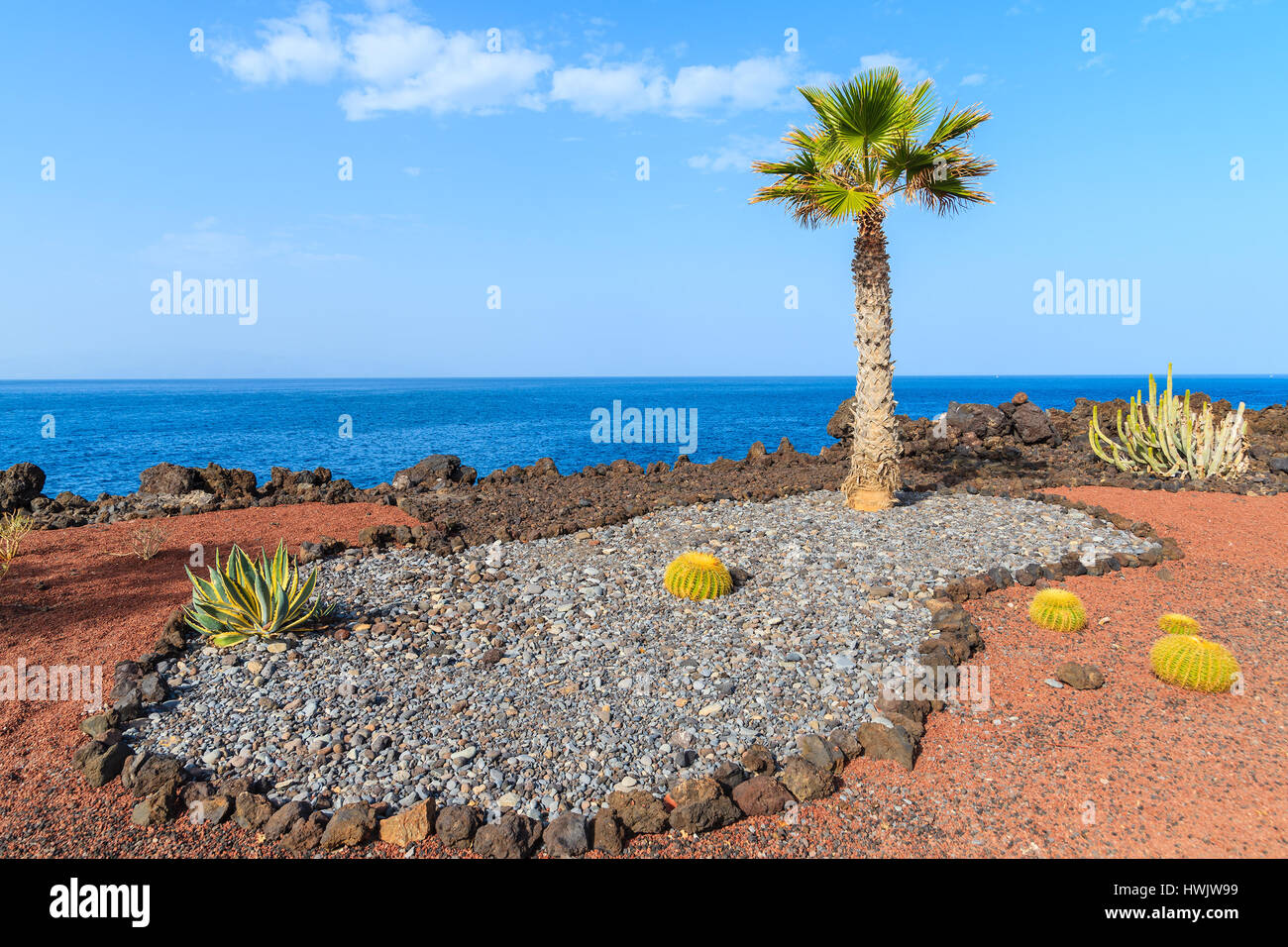 Piante tropicali sulla passeggiata costiera lungo l'oceano nella città di San Juan,, isola di Tenerife, Spagna Foto Stock