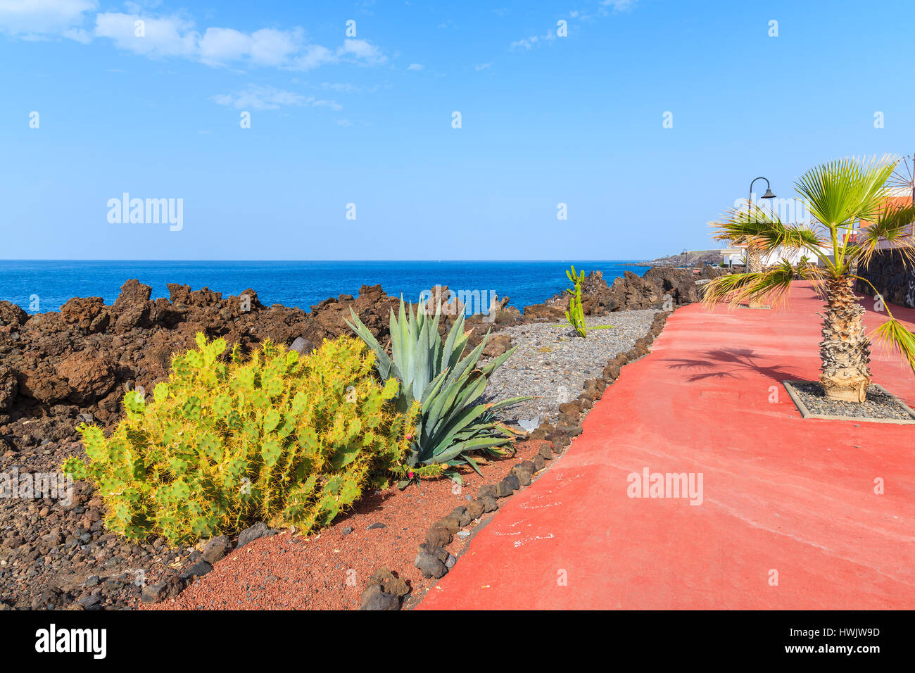 Piante tropicali sulla passeggiata costiera lungo l'oceano nella città di San Juan,, isola di Tenerife, Spagna Foto Stock