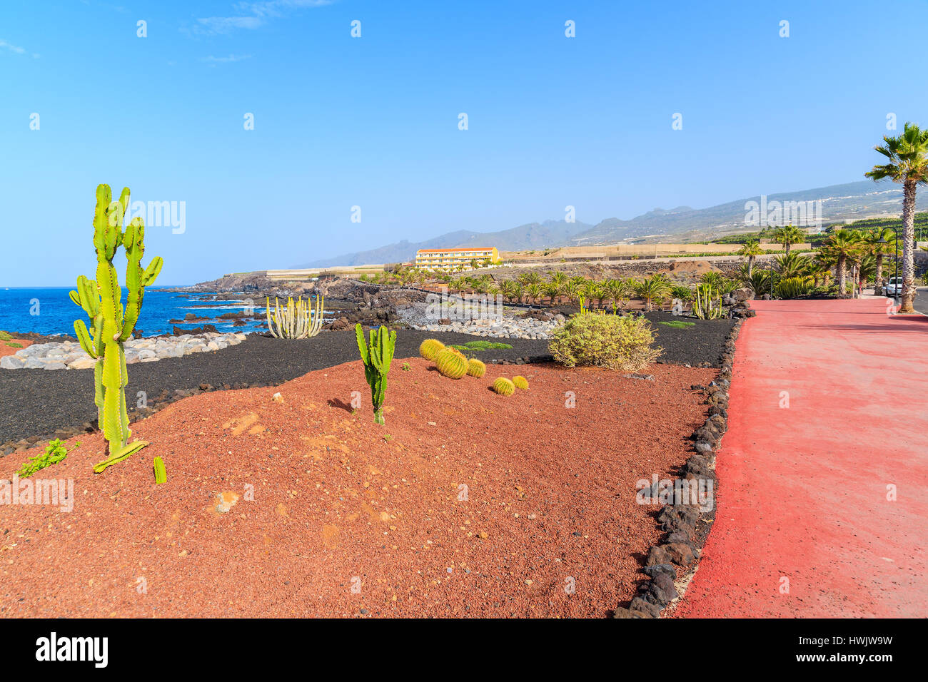 Piante tropicali sulla passeggiata costiera lungo l'oceano nella città di San Juan,, isola di Tenerife, Spagna Foto Stock