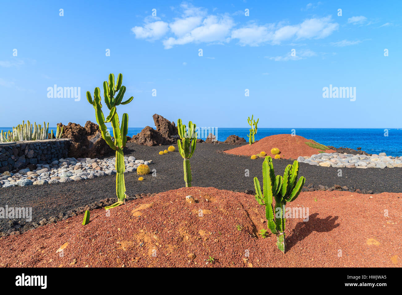 Piante tropicali sulla passeggiata costiera lungo l'oceano nella città di San Juan,, isola di Tenerife, Spagna Foto Stock