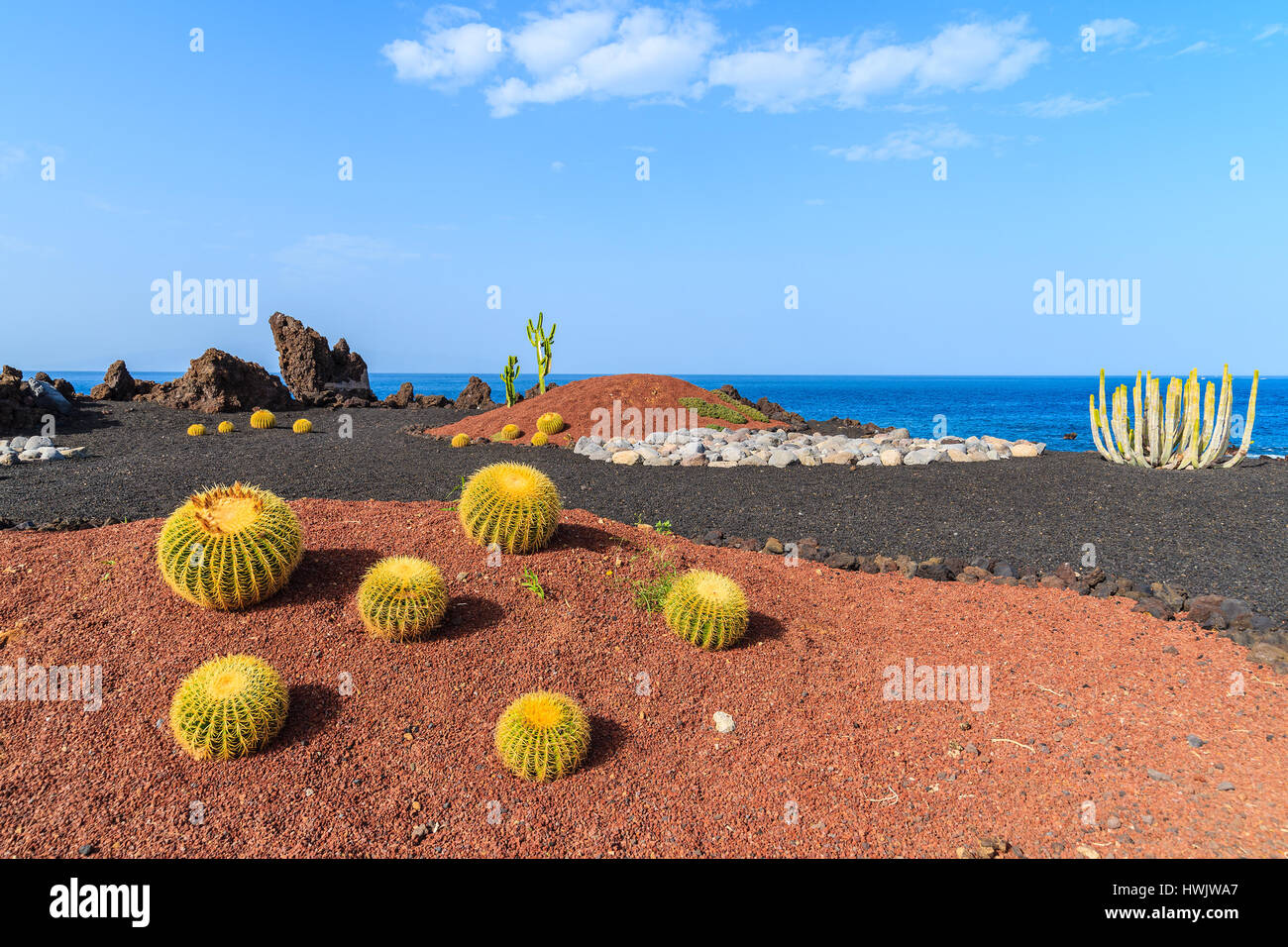 Piante tropicali sulla passeggiata costiera lungo l'oceano nella città di San Juan,, isola di Tenerife, Spagna Foto Stock