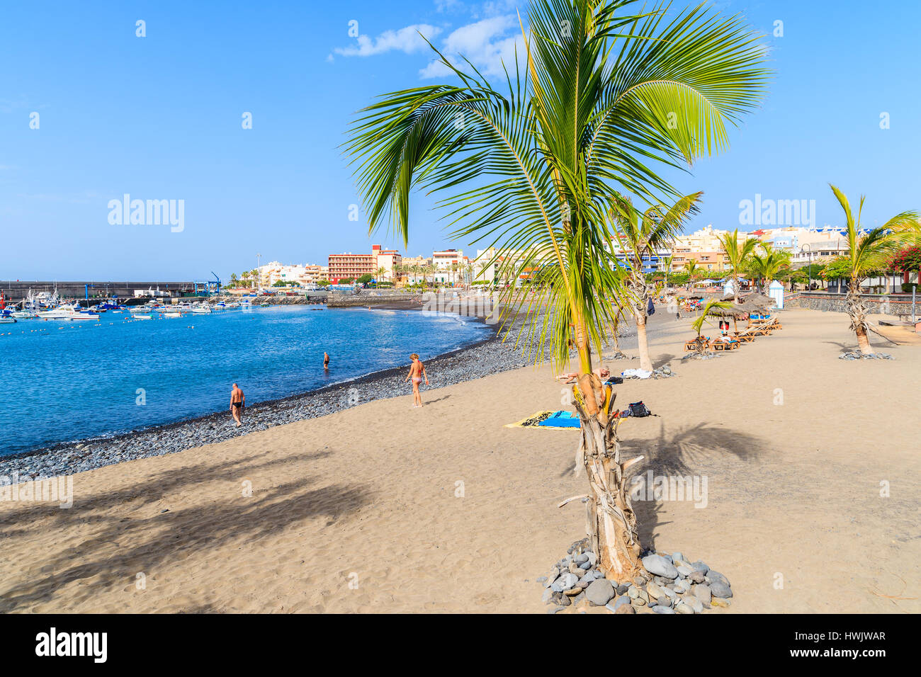 Palm tree su una spiaggia di San Juan porta sull'isola di Tenerife, Spagna Foto Stock