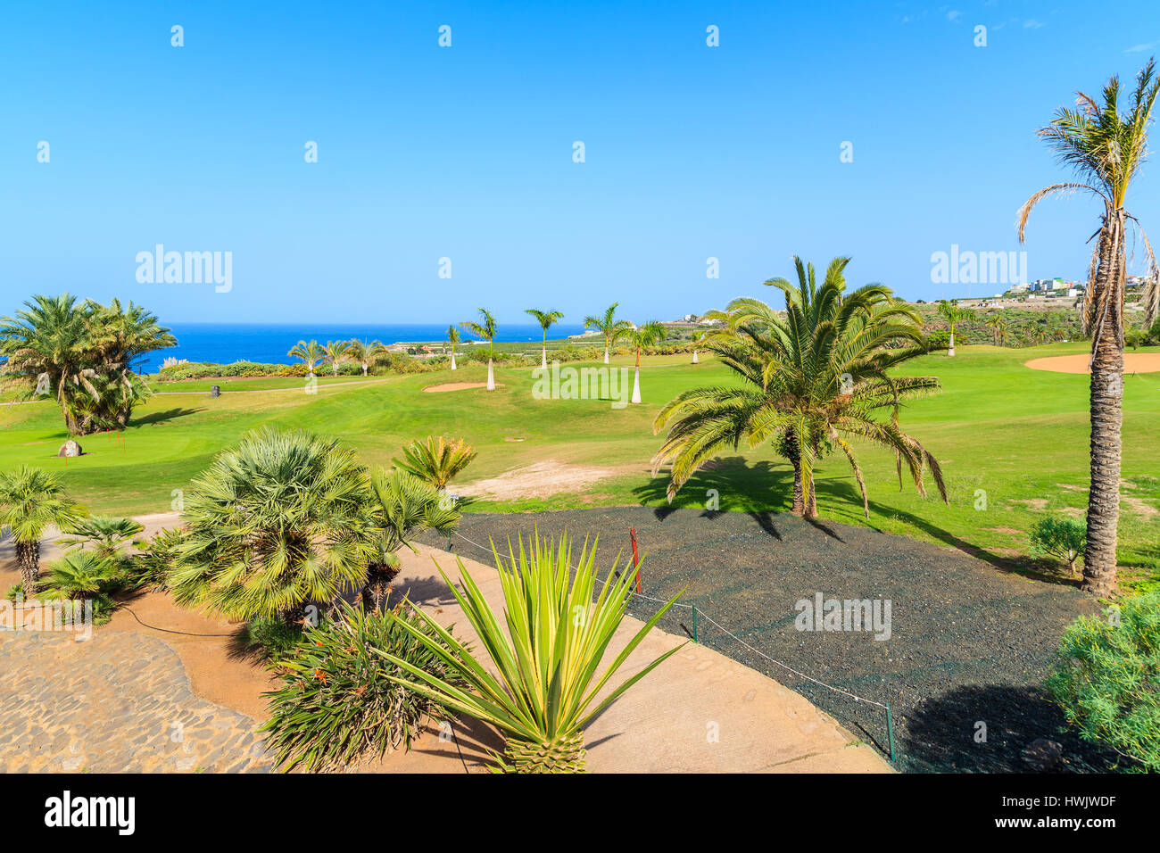 Piante tropicali su un campo da golf nella parte settentrionale dell'isola di Tenerife, Spagna Foto Stock