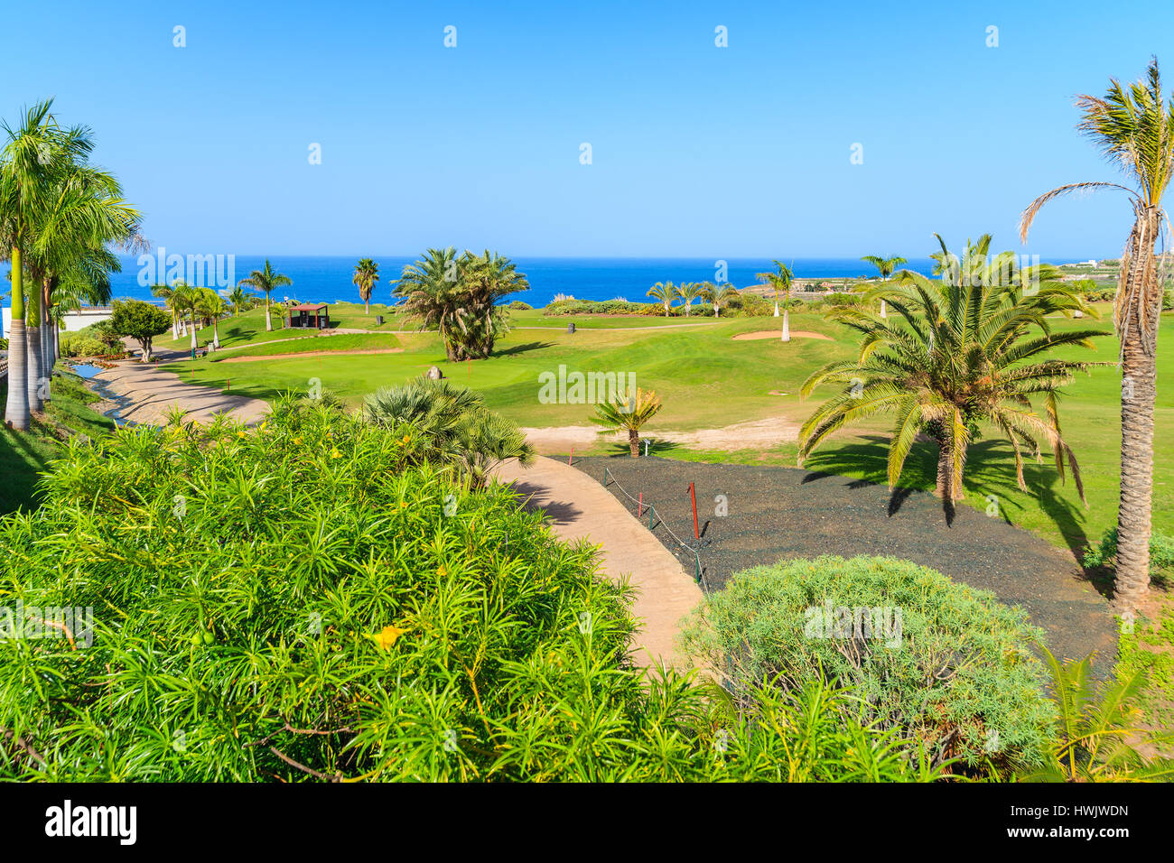 Piante tropicali su un campo da golf nella parte settentrionale dell'isola di Tenerife, Spagna Foto Stock