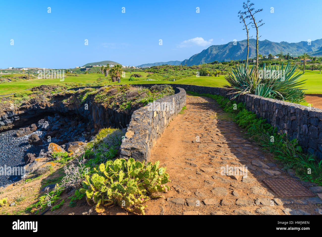 Passeggiata costiera sull'isola di Tenerife, Spagna Foto Stock