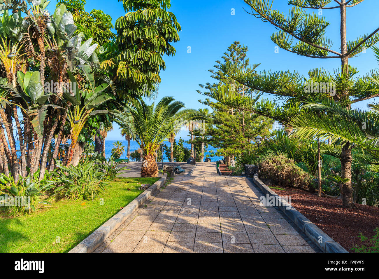Giardino tropicale in Puerto de la Cruz città sull'isola di Tenerife, Spagna Foto Stock