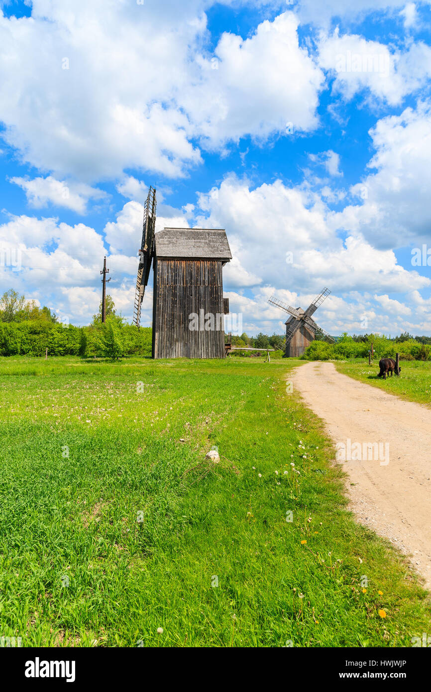 Vecchio mulino a vento di legno sul campo verde nella primavera del paesaggio del villaggio Tokarnia, Polonia Foto Stock
