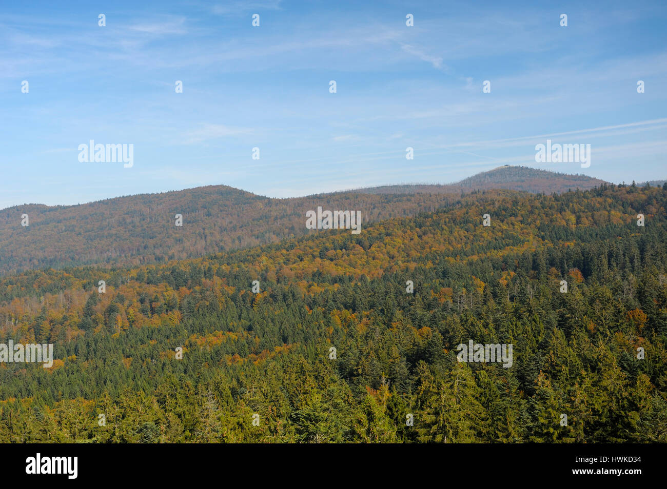 Vista da treetop a piedi, ottobre, Parco Nazionale della Foresta Bavarese, Germania Foto Stock