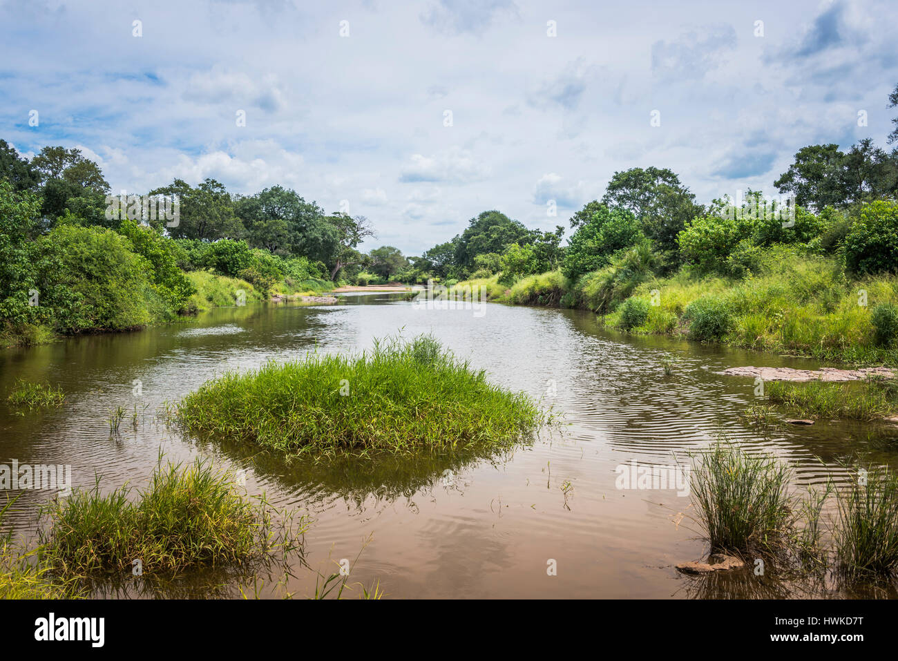 Il fiume di elefanti nel parco nazionale Kruger sud africa Foto Stock