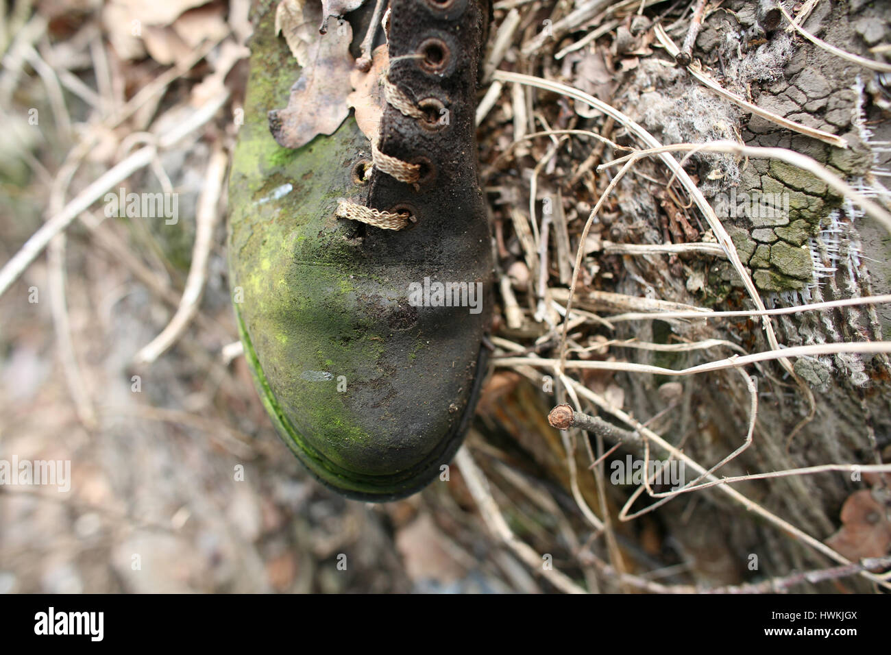 Vecchia scarpa distrutti Foto Stock