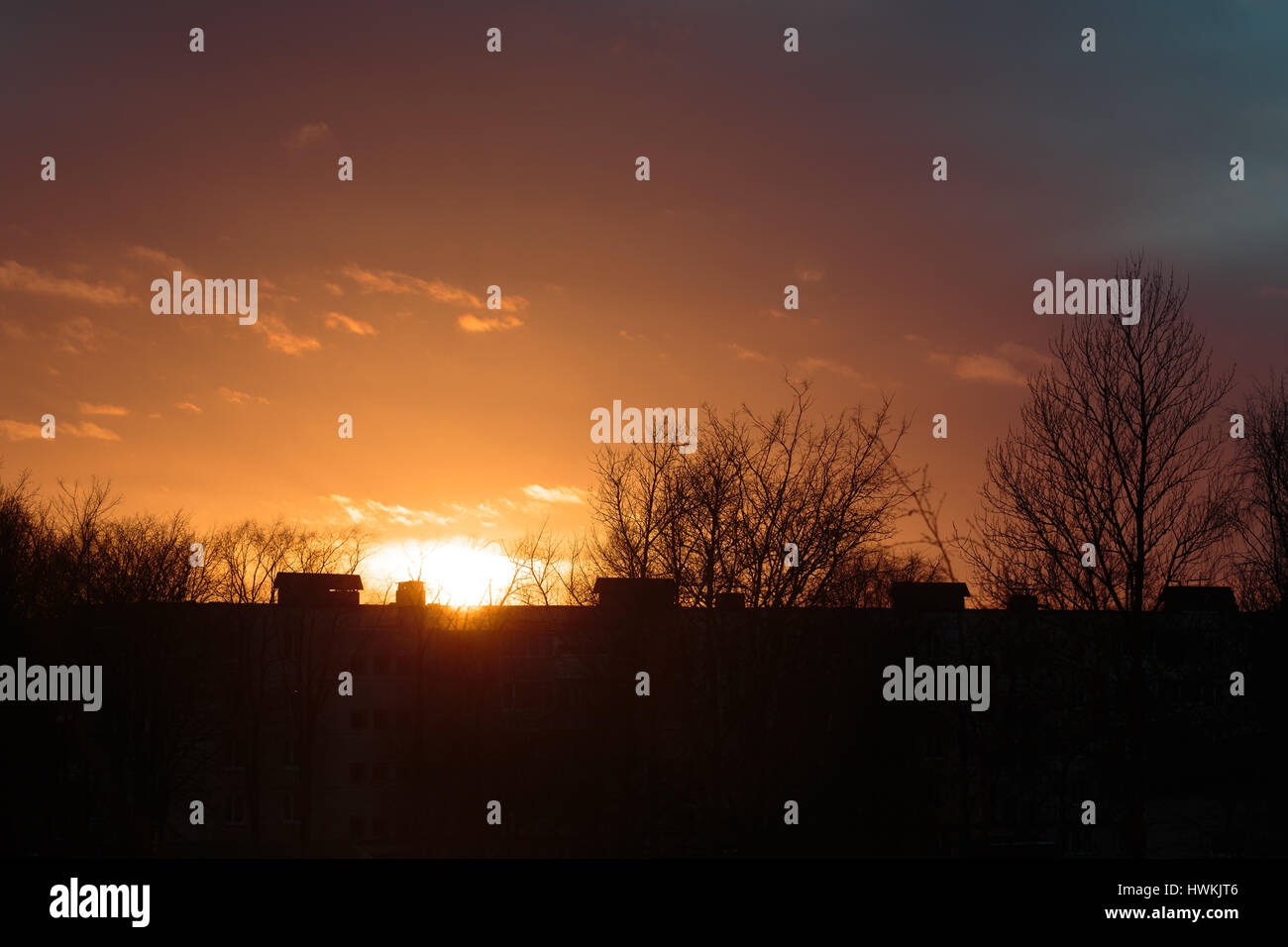 Tramonto colorato su un edificio a più piani e alberi a secco. Foto Stock