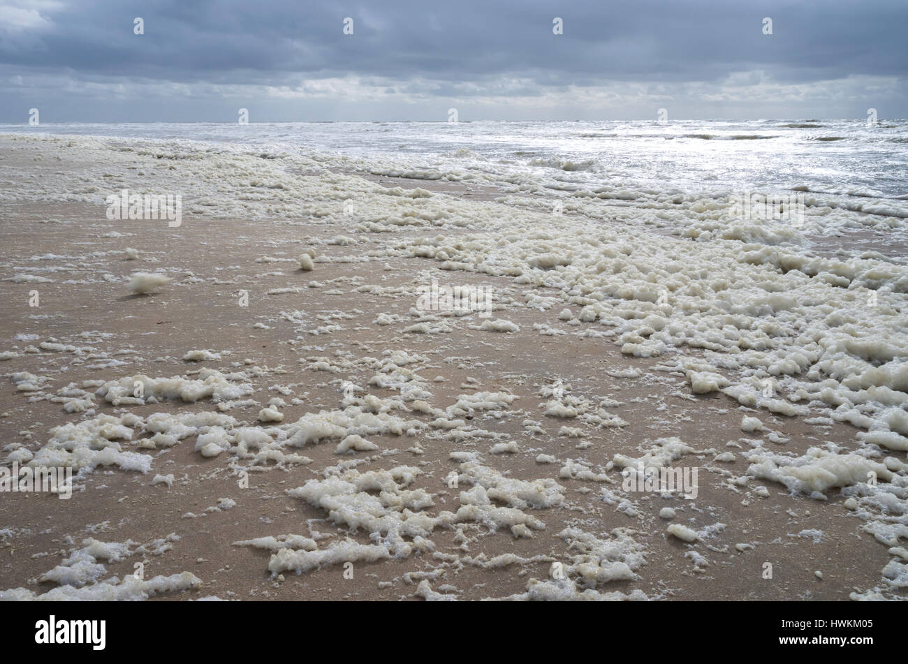 Schiuma di mare in olandese costa del Mare del Nord Foto Stock