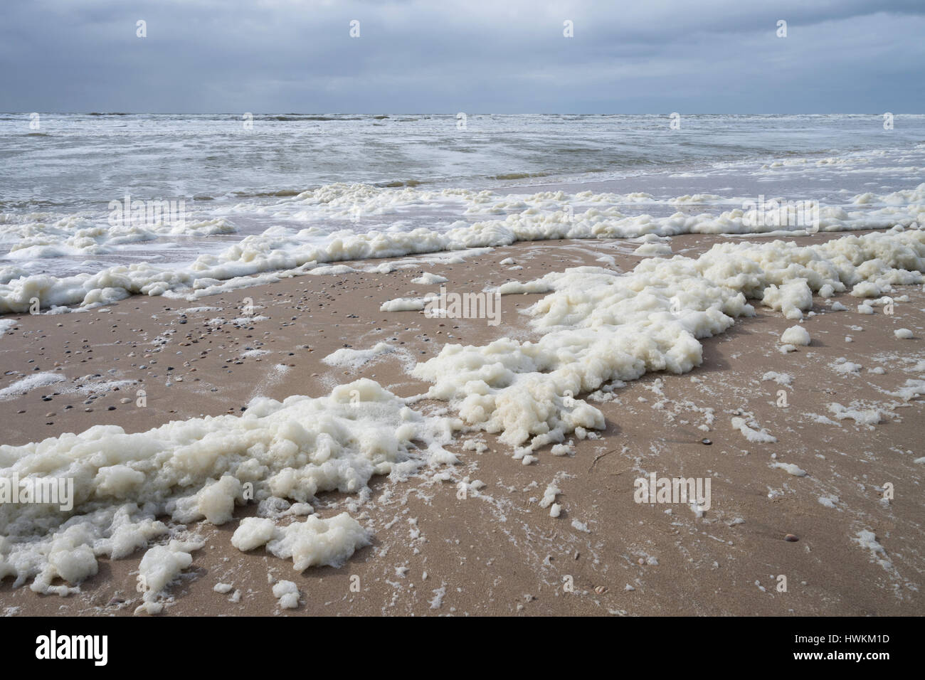Schiuma di mare in olandese costa del Mare del Nord Foto Stock