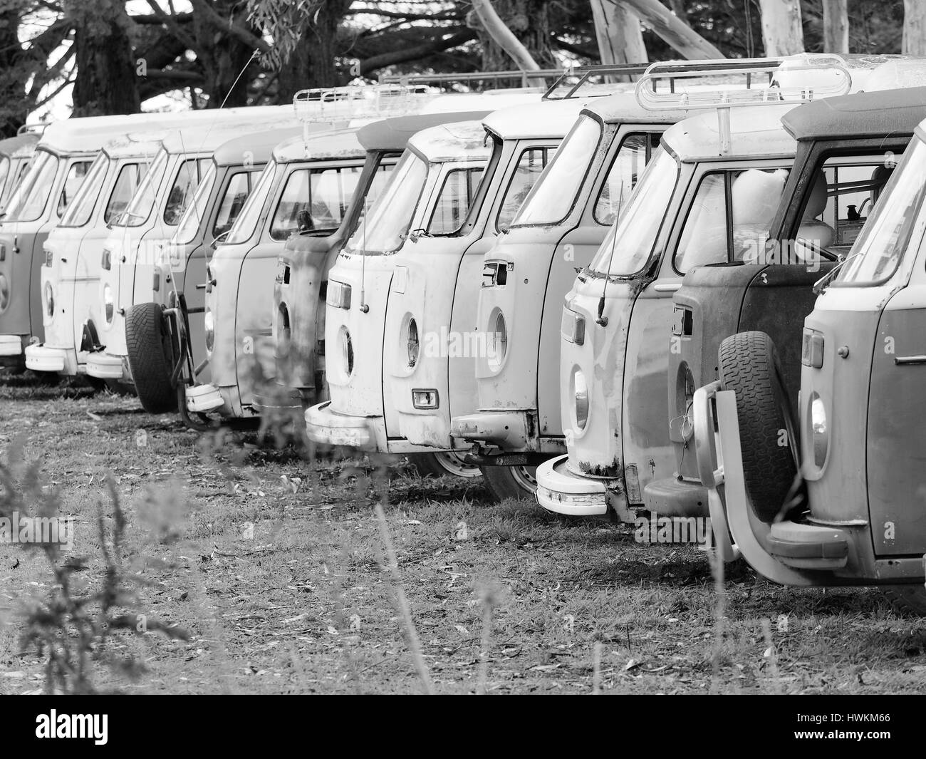 Melbourne, Australia, 2015, 4 settembre: Fila di defunti e scappano furgoni desolati di tutti gli stessi Volkswagen Bully T2 in bianco e nero, Australia 2 Foto Stock