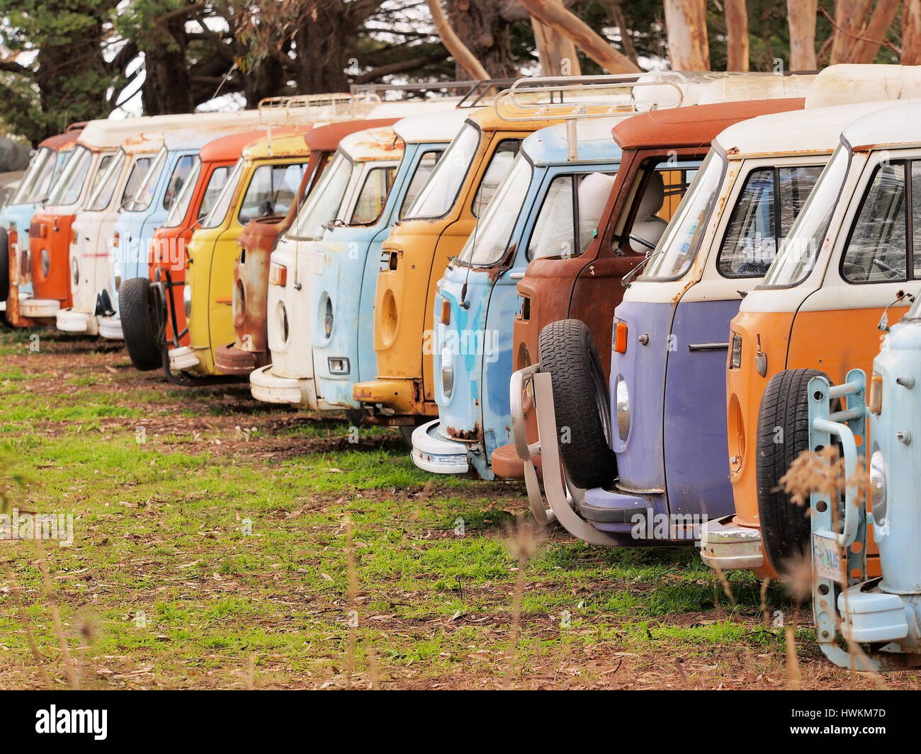Melbourne, Australia, 2015, 4 settembre: Fila di defunti colorati e scendono i furgoni desolati di tutti gli stessi Volkswagen Bully tipo, Australia 2016 Foto Stock