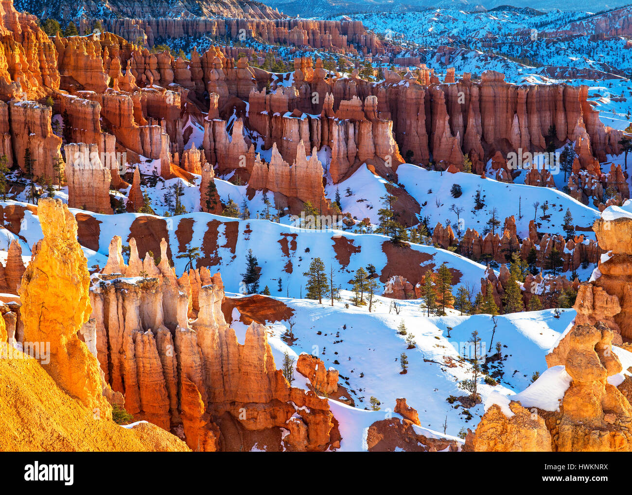 Parco Nazionale di Bryce Canyon in inverno, Utah Foto Stock