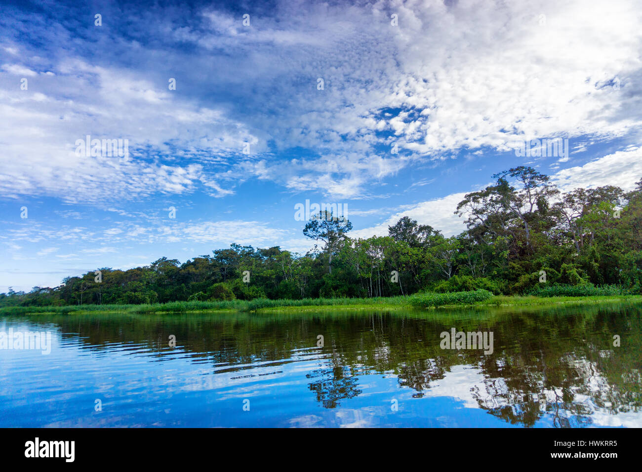 Bellissimo paesaggio e di riflessione in un fiume nella foresta amazzonica vicino a Iquitos, Perù Foto Stock