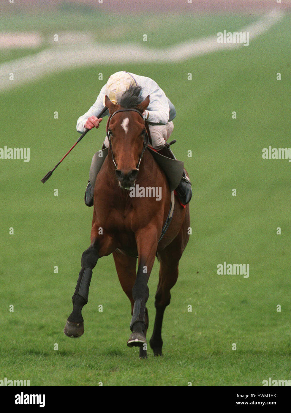 Pittori fila vince 95 Craven cavalcato da John REID 26 Aprile 1995 Foto Stock