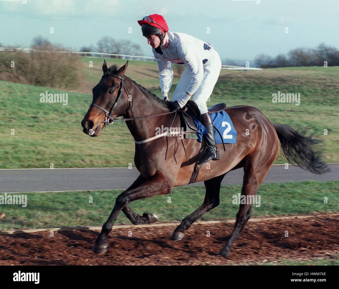 Casa BUCK BOY cavalcato da C.MAUDE 27 Marzo 1997 Foto Stock