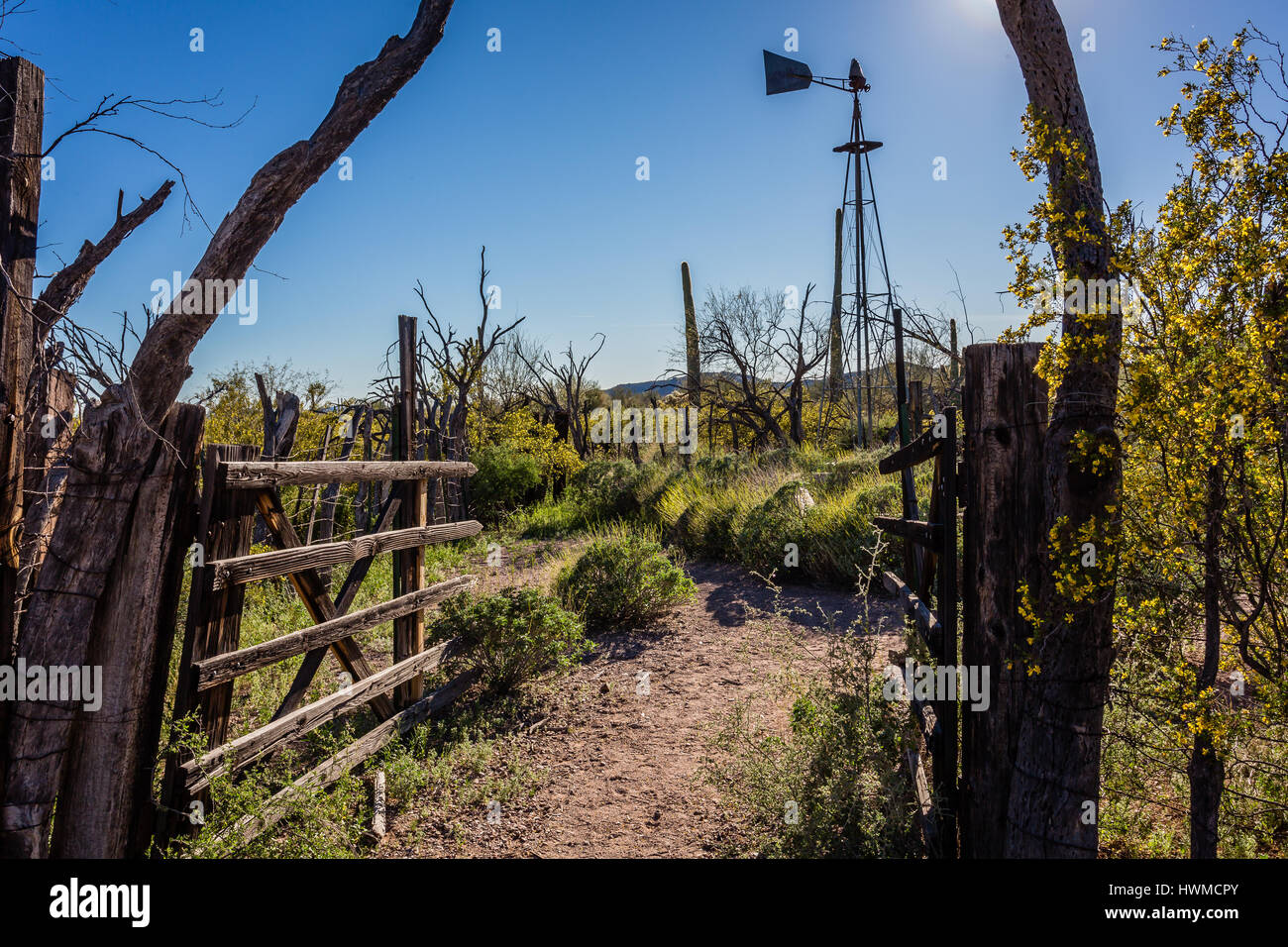 Bonita bene è un vestigio del deserto ranching lungo la Arizona/Messico frontiera. Organo a canne monumento nazionale Foto Stock