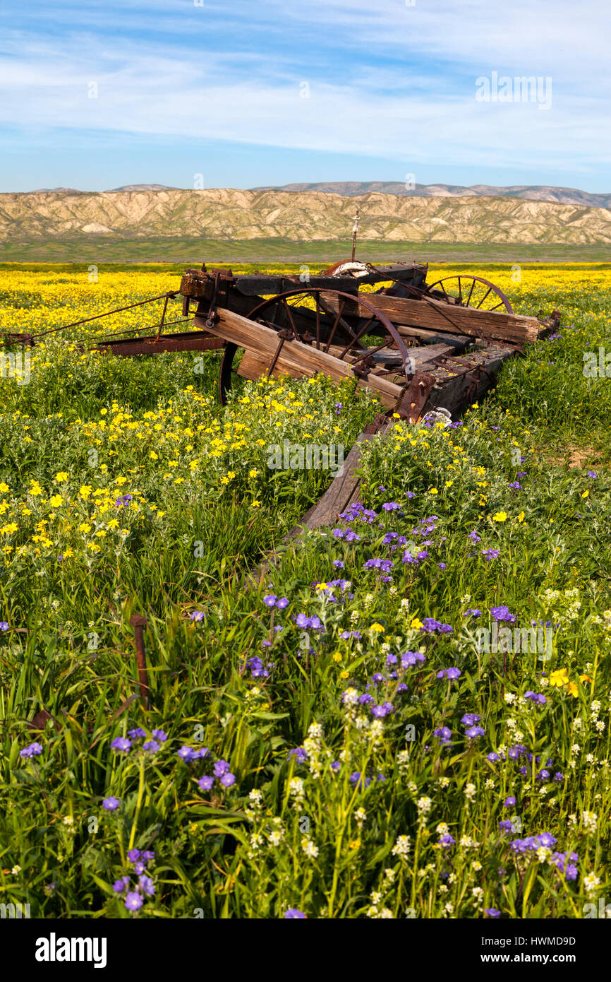 Fioritura di fiori di campo a fianco di abbandonato attrezzature agricole del Van Matre Ranch a Carrizo Plain monumento nazionale. Foto Stock